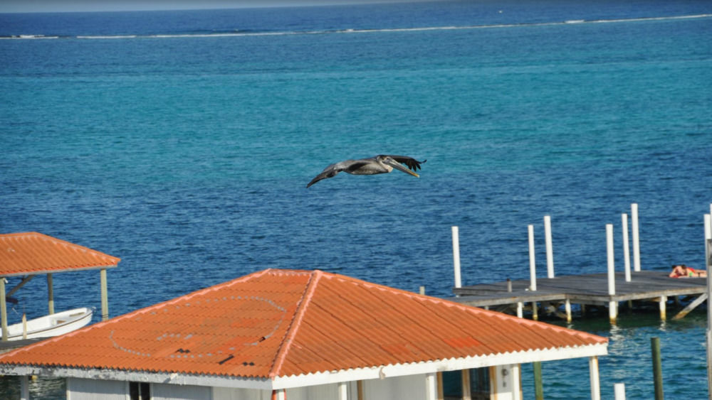 Sands Villas San Pedro  Dış mekan fotoğraf